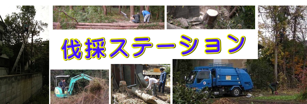 茨城県境町の庭木伐採、立木枝落し、草刈りを承ります。